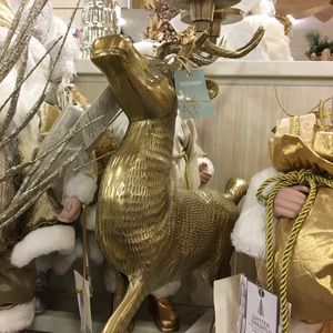 Meet your Posher, Cathy